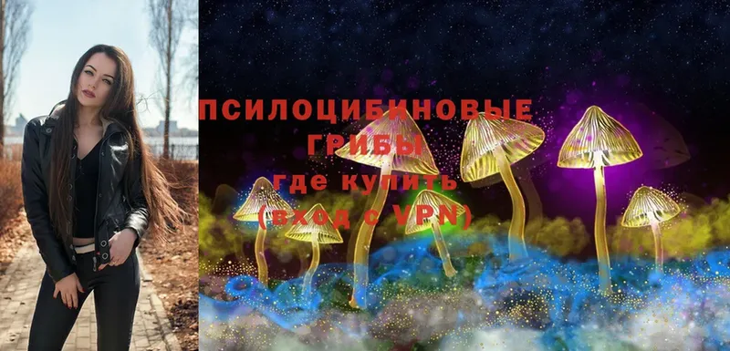 это как зайти  Бобров  Галлюциногенные грибы Cubensis 